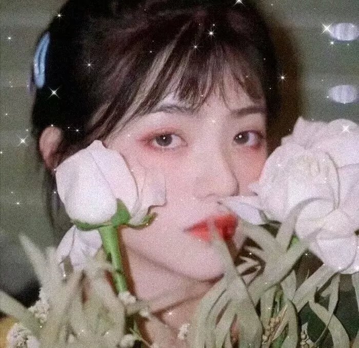 胖宝的春天
